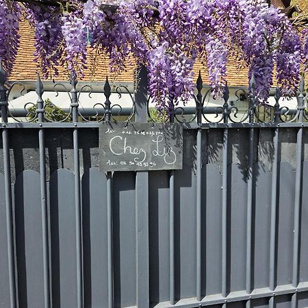Chambre D'Hote Chez Liz 马斯利维 外观 照片